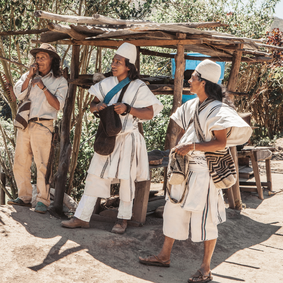 Leadership and Organizational Strengthening